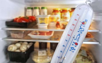 Care este temperatura ideală în …