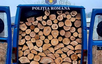 Material lemnos fără documente confiscat …