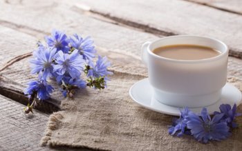 Cicoarea - ajutor de nădeje …