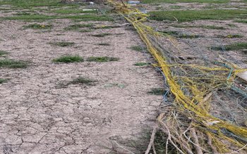 Polițiștii de frontieră curăță Prutul …