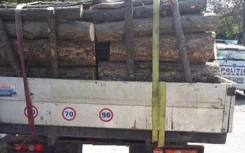 Sancțiune de 2.000 de lei …