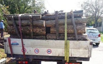 Material lemnos fără documente legale …