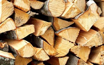 Femeie prinsă de polițiști, la …