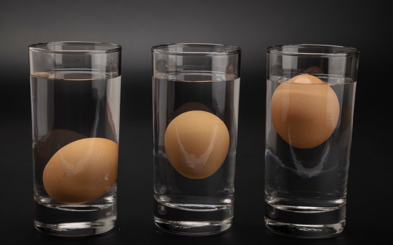 Cum depistezi ouăle expirate. Cinci metode rapide pentru a le evita