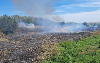 Pompierii au intervenit la stingerea …