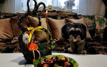 ISU Botoșani: Lumânările lăsate nesupravegheate, …