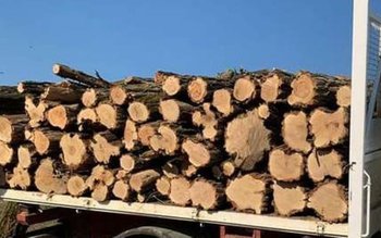 Material lemnos fără documente legale …