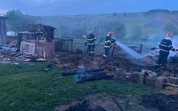 Furajele dintr-o gospodărie incendiate, din …