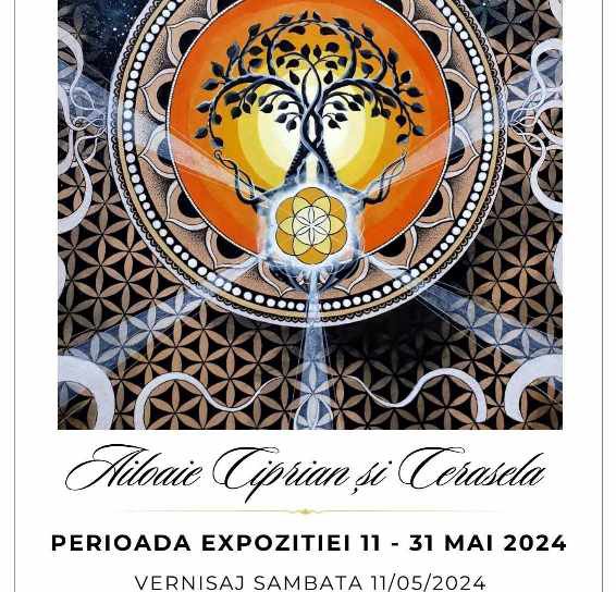 INTELIGENȚA MATERIEI - expoziție în cadrul Colecției de Artă Botoșani organizată la Muzeul Județean Botoșani