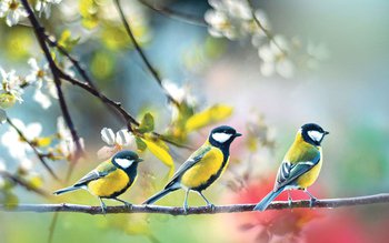 Se anunță o nouă schimbare …