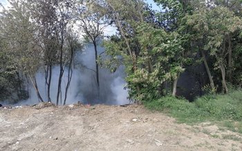 Aproximativ 50 de tone de …