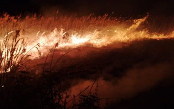 Casele din apropierea iazului Tătărășeni, …