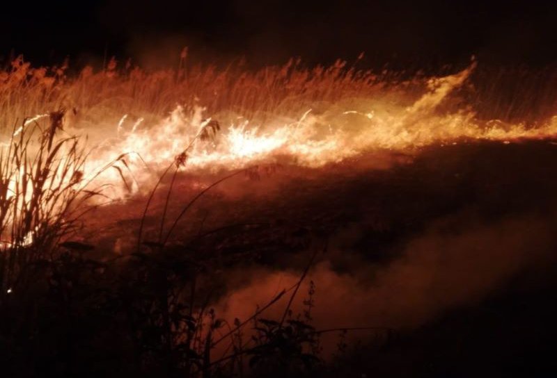 Casele din apropierea iazului Tătărășeni, comuna Havârna, în pericol din cauza unor incendii de stuf