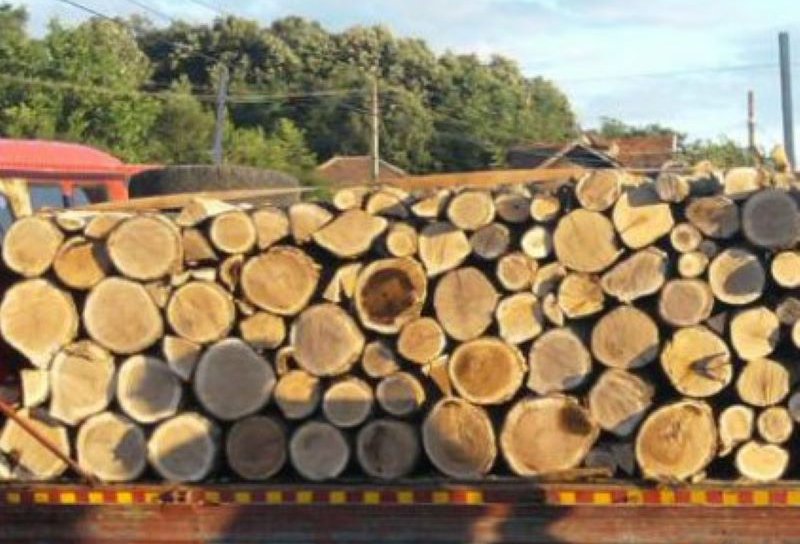 Material lemnos fără documente confiscat la Cordăreni