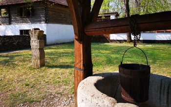 Reguli pentru cei care au …