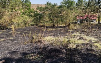 Incendierea vegetației uscate este interzisă! …