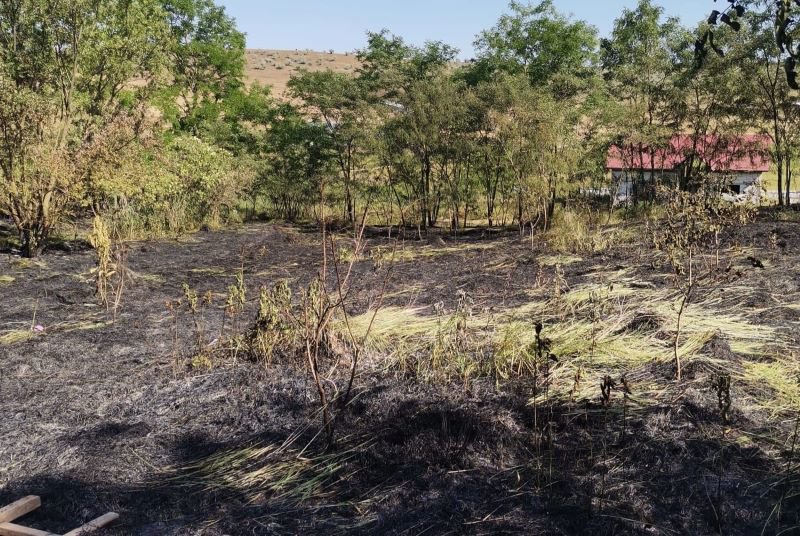 Incendierea vegetației uscate este interzisă! Pompierii militari au intervenit pentru stingerea a trei incendii