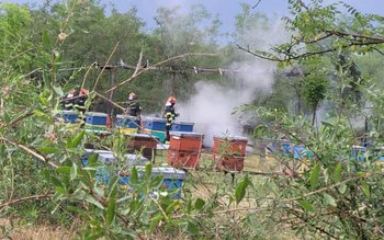 O platformă apicolă cu 20 …