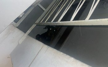 Femeie panicată din cauza unui …