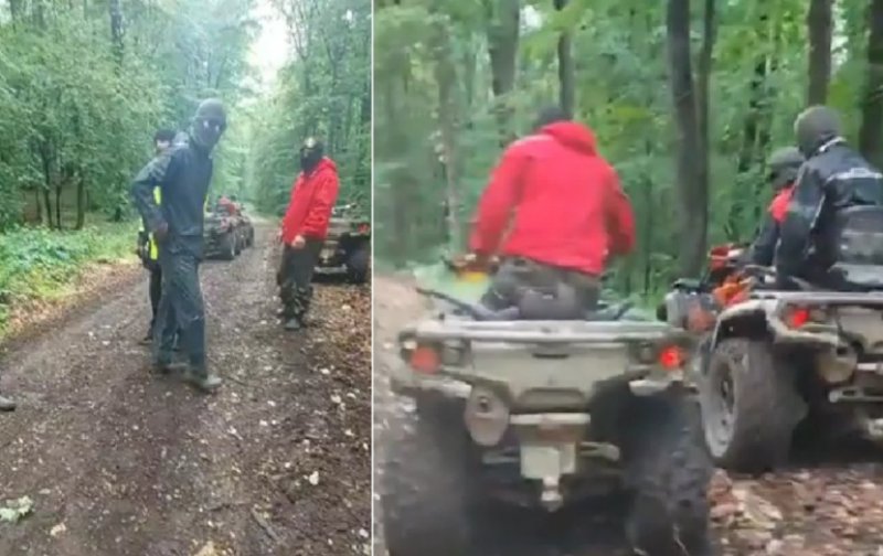 Pădurari bătuți de tineri pe ATV-uri. Agresorii au devenit violenți când li s-a restricționat accesul în pădure