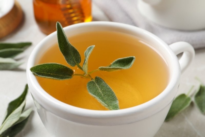 Salvia pură ajută la slăbit