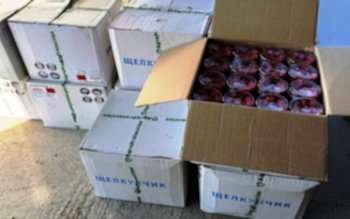 Dosare de contrabandă pentru trafic …