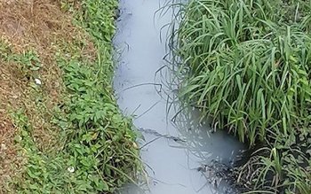 Amendă de 75.000 lei pentru …