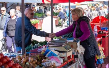 Senatorul Lucian Trufin anunță deschiderea …