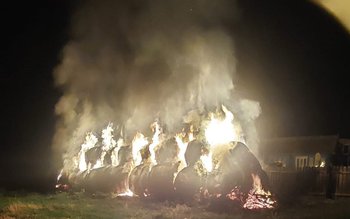 Aproximativ 30 de baloți de …