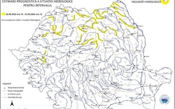 Cod galben și risc de …