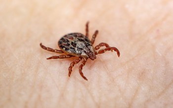 Vezi ce ai de făcut …