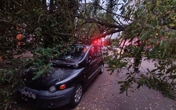 Două mașini parcate au fost …