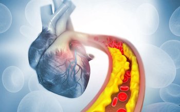 Noi informații despre carnea albă …