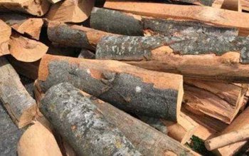 Amendă de 2.000 de lei …