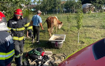 Rămasă captivă într-un cămin de …