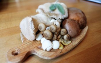 Cinci copii au ajuns la …