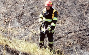 Aproximativ 10 hectare de vegetație …