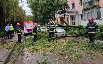 Mașini avariate de copaci căzuți …