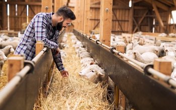 Vești bune pentru fermierii din …