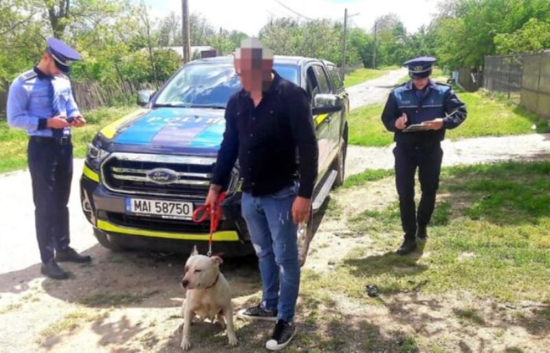Acțiune a polițiștilor privind deținerea câinilor periculoși la Vlăsinești