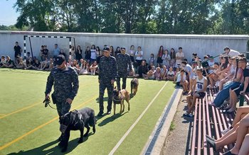 Jandarmii botoșăneni în vizită la …