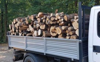 Tânăr din Darabani depistat în …