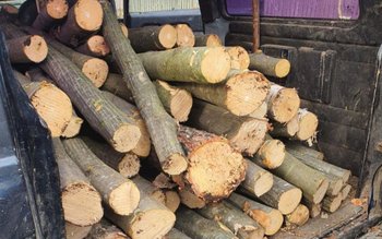 Amendă de 2.000 de lei …