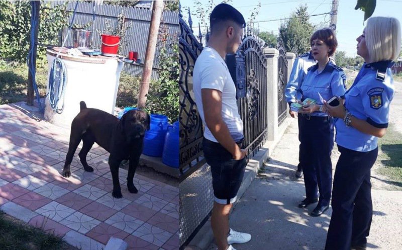 Deținătorii de arme și de câini periculoși, verificați de polițiști. 14 arme au fost indisponibilizate