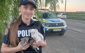 Pisici salvate de o polițistă …