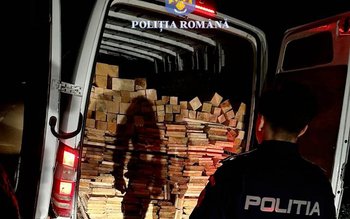 Peste șapte metri cubi de …