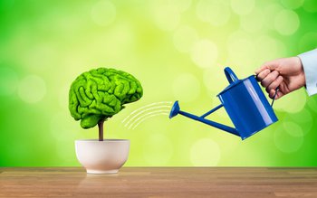 Plante care pot stimula funcționarea …