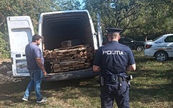 Acțiunile pentru combaterea tăierilor ilegale …