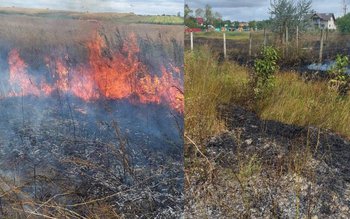 O casă și un lan …