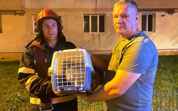 Pisică rămasă captivă, după ce …